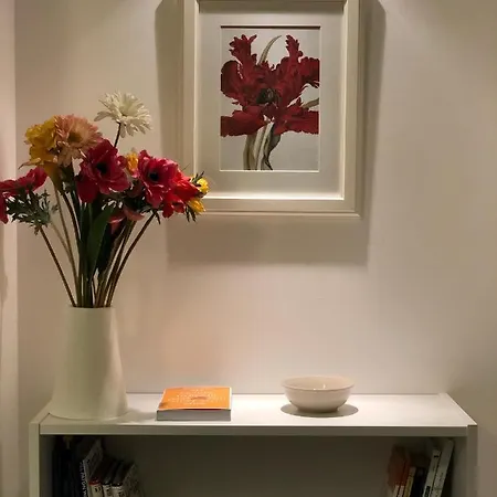 Great Apartamento